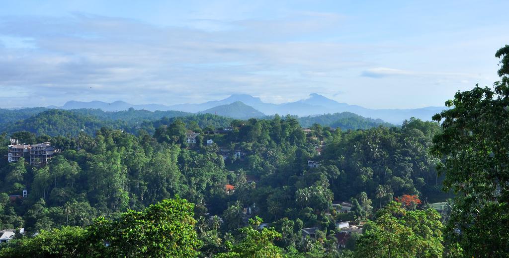 Primrose Inn Kandy Værelse billede